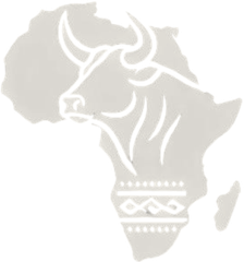 BulltongAfrica